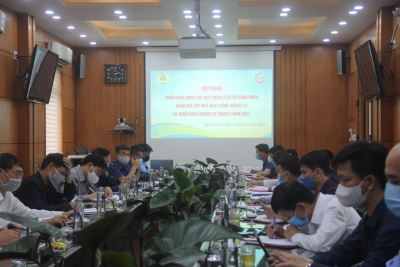 Công đoàn Công ty Kho vận và cảng Cẩm Phả: Triển khai bổ sung quy hoạch cán bộ Công đoàn nhiệm kỳ 2023 – 2028