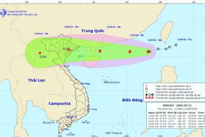 TKV triển khai các biện pháp ứng phó với cơn bão số 5