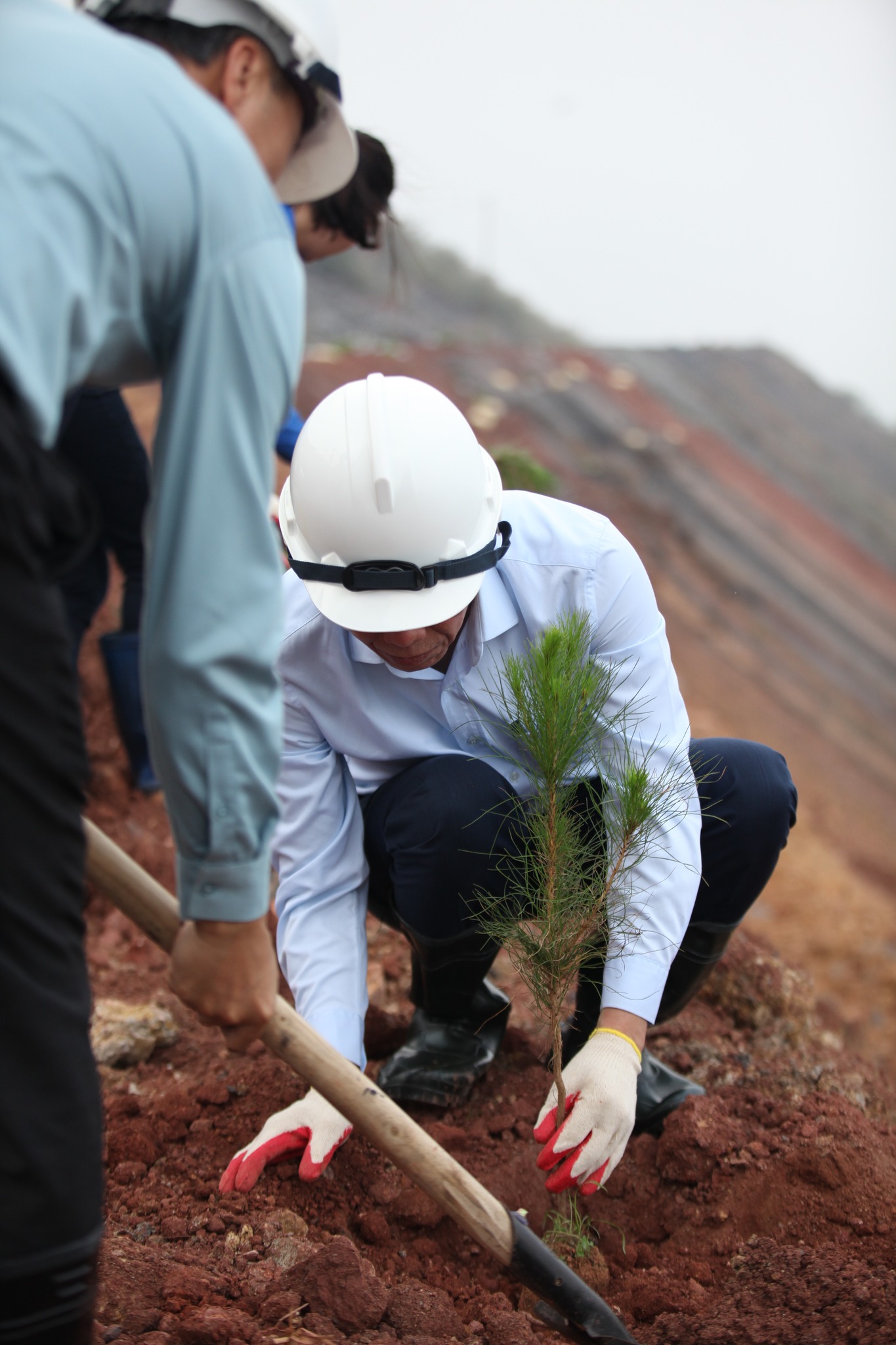 5000 cây xanh được trồng tại” Lễ phát động Tết trồng cây đời đời nhớ ơn Bác Hồ Xuân Giáp Thìn năm 2024” - Ảnh 4