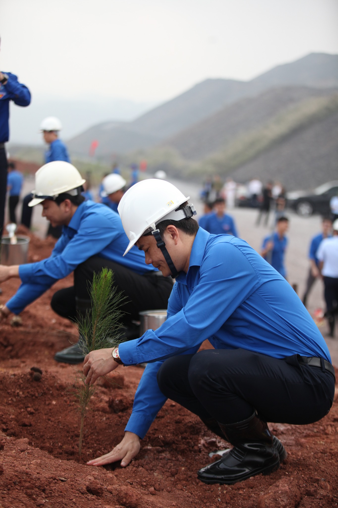 5000 cây xanh được trồng tại” Lễ phát động Tết trồng cây đời đời nhớ ơn Bác Hồ Xuân Giáp Thìn năm 2024” - Ảnh 5