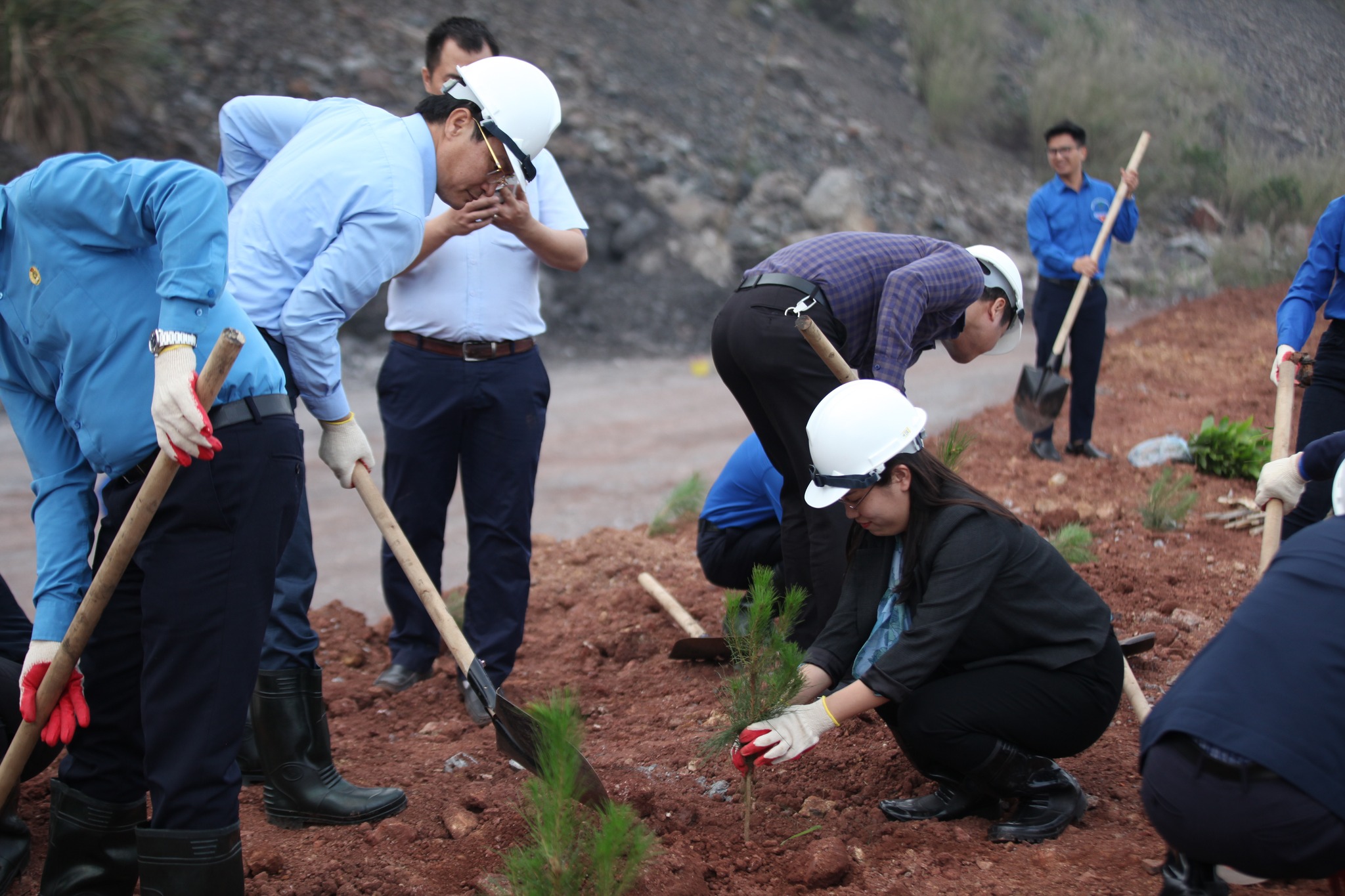 5000 cây xanh được trồng tại” Lễ phát động Tết trồng cây đời đời nhớ ơn Bác Hồ Xuân Giáp Thìn năm 2024” - Ảnh 6