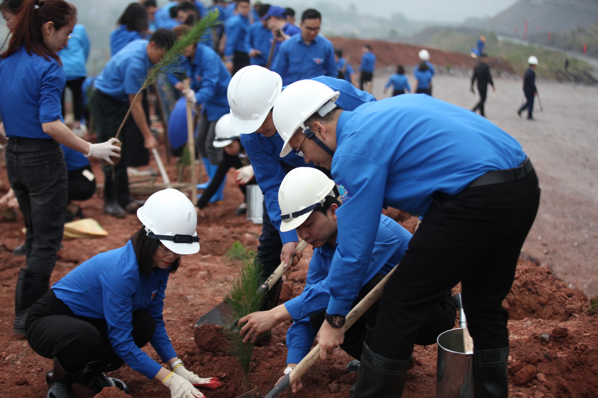 5000 cây xanh được trồng tại” Lễ phát động Tết trồng cây đời đời nhớ ơn Bác Hồ Xuân Giáp Thìn năm 2024” - Ảnh 7