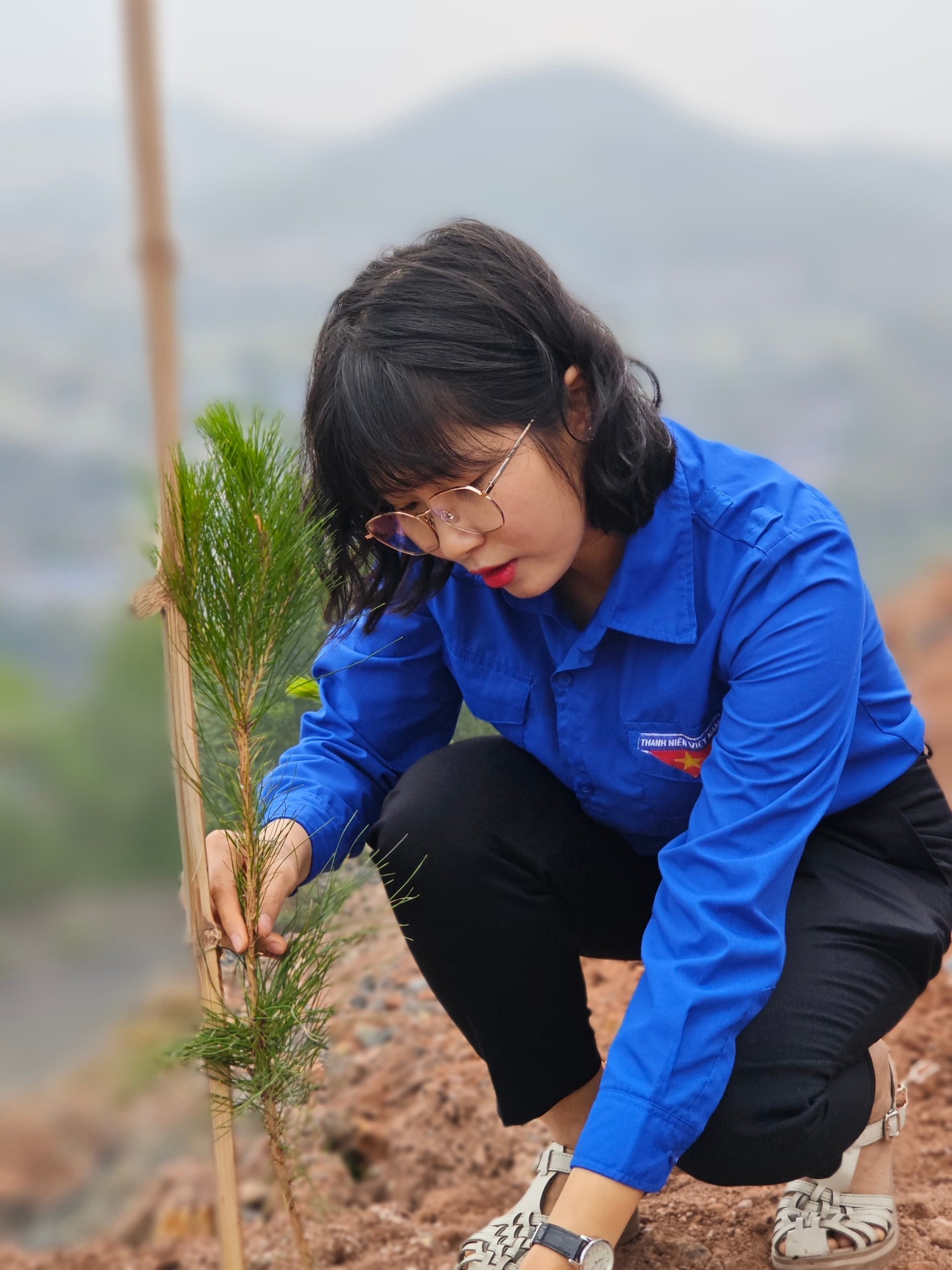 5000 cây xanh được trồng tại” Lễ phát động Tết trồng cây đời đời nhớ ơn Bác Hồ Xuân Giáp Thìn năm 2024” - Ảnh 8