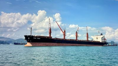 Báo cáo từ ngày 01-05.10.2025