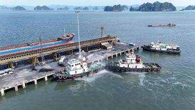 Công ty tổ chức huấn luyện nghiệp vụ PCCC và CNCH năm 2026