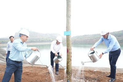 TKV phát động “Tết trồng cây đời đời nhớ ơn Bác Hồ” Xuân Bính Ngọ 2026